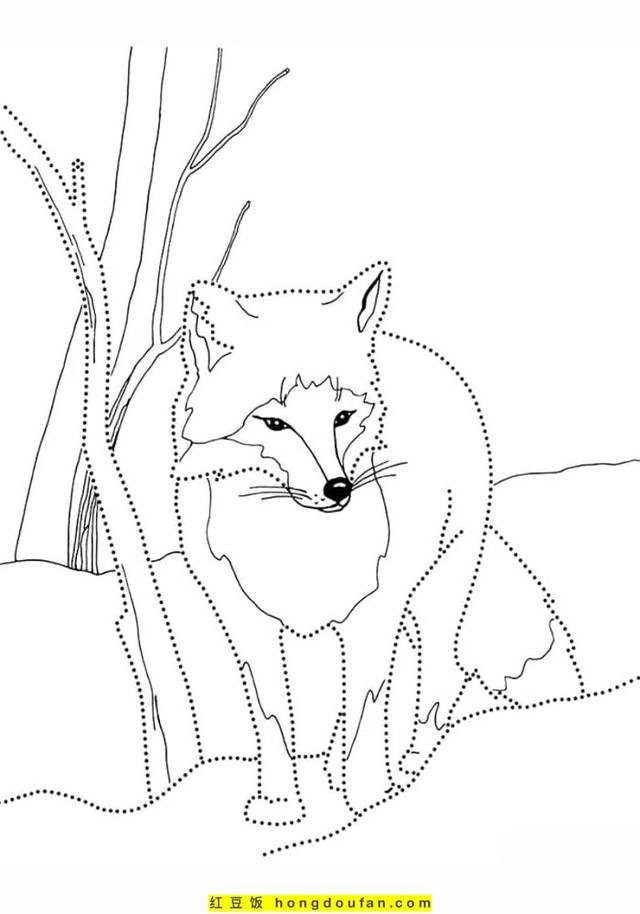 可爱的狐狸,可爱的狐狸头像动漫(8张萌萌哒可爱小狐狸卡通儿童简笔画图片) 可爱的狐狸,可爱的狐狸头像动漫(8张萌萌哒可爱小狐狸卡通儿童简笔画图片)