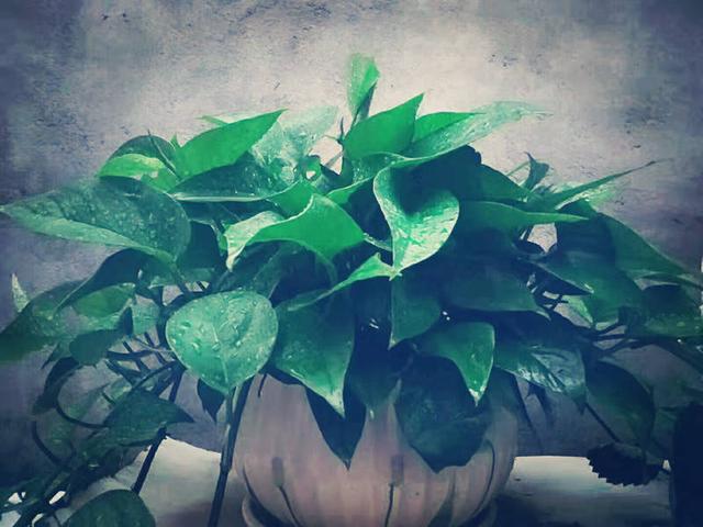 impatient，impatient baby（高中英语必修1-选修8派生词全梳理）