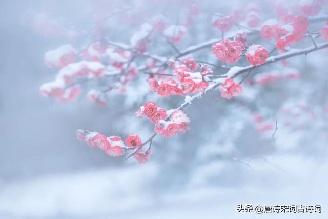 形容雪的词语，形容雷的词语不带雷字（一日风飘雪，翌日雪满道）