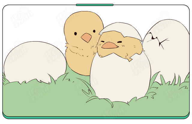 刚孵出来的小鸡怎么养，刚孵化的小鸡怎么养（抽检出抗生素超标）