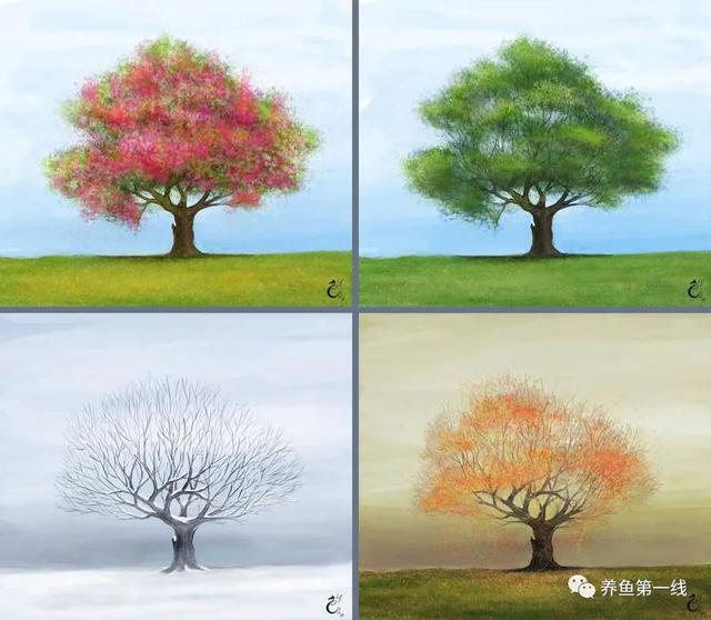 炖鱼需要多长时间，炖鱼多长时间（鱼类发病的四个主要时段——两个发病高峰期、两个鱼病易发阶段）