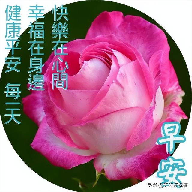 心情说说配图❤，表达心情的图片大全（6月22日清晨最新早上好祝福图片）