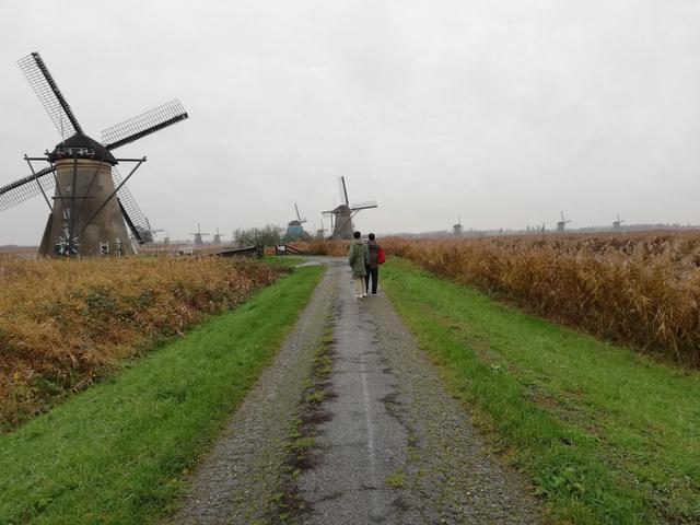 rotterdam是哪个国家的港口（这里的建筑以标新立异闻名）