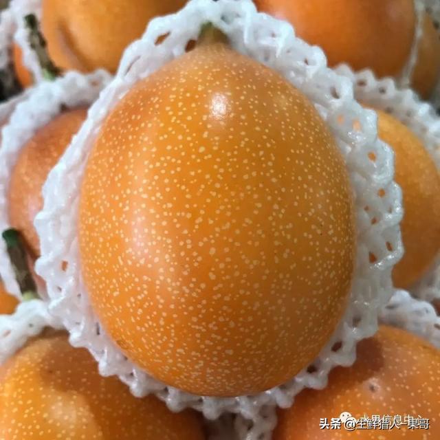 passion fruit是什么水果（土豪百香果，一斤100元）