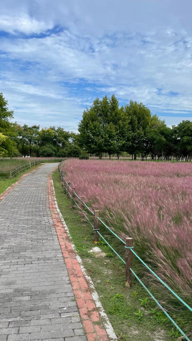 上海到青岛多远，上海到青岛的路程（上海青岛往返1400公里全程无高速沿途城市蜻蜓点水游）