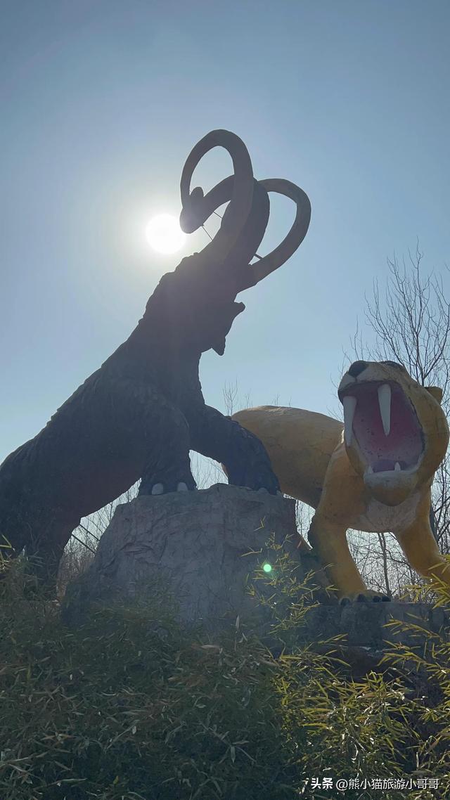 厦门旅游攻略动物园，保姆级游玩攻略给大家奉上