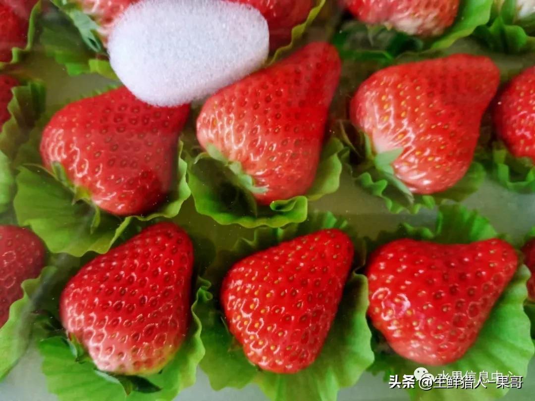 浆果是什么，浆果是什么软件（不同水果的不同包装<浆果篇>）