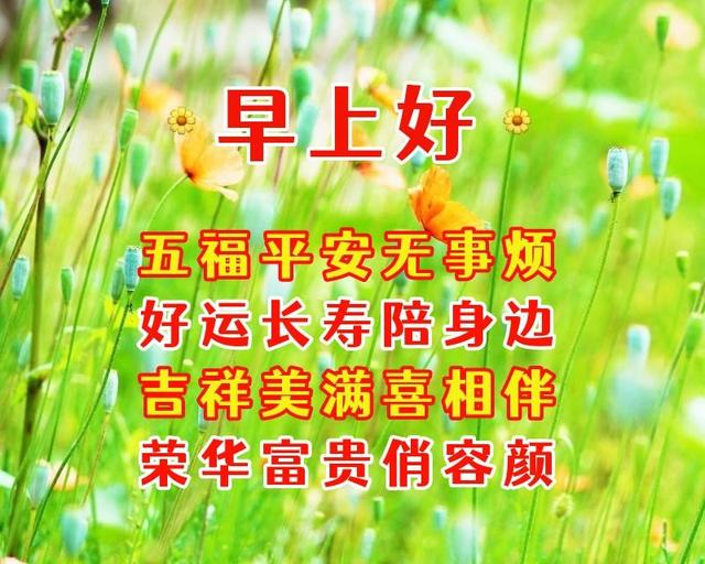 希望你开心的句子，5月29日周日早安暖心话语
