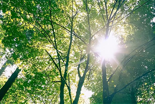 2022年末伏的别称 末伏天忌什么，2022年末伏的别称（2022年“加长版”三伏天来了）