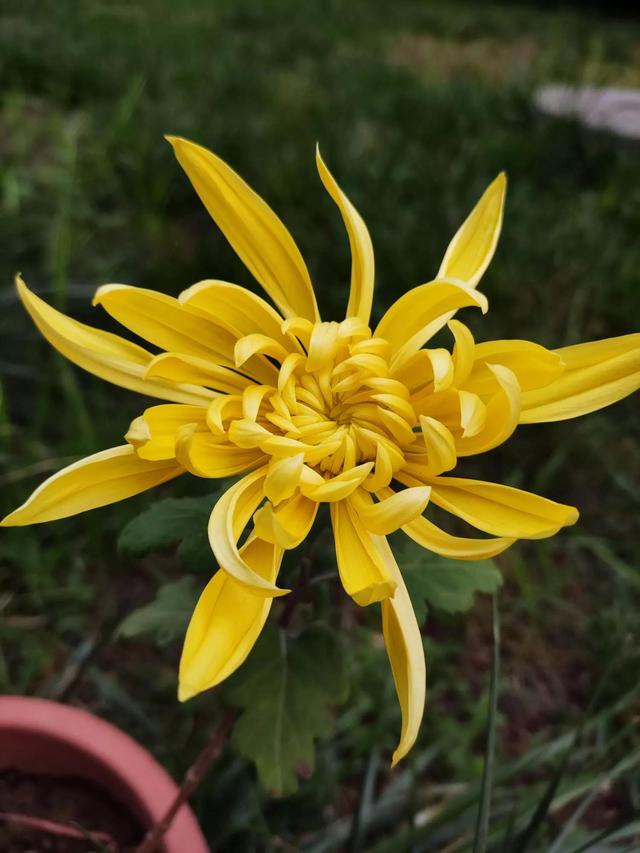 灵魂相似的人一旦相逢，灵魂相似的人一旦相逢是知心朋友（总有一天会在路上相逢）