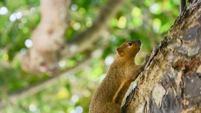 金巴兰海滩的地址在哪里，巴拉湾海滩在哪里（巴厘岛绝美海滩太多了）