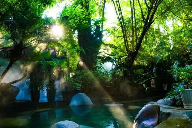 腾冲旅游攻略，云南腾冲5日旅游（腾冲人游腾冲丨开年第一“泡”去哪儿）