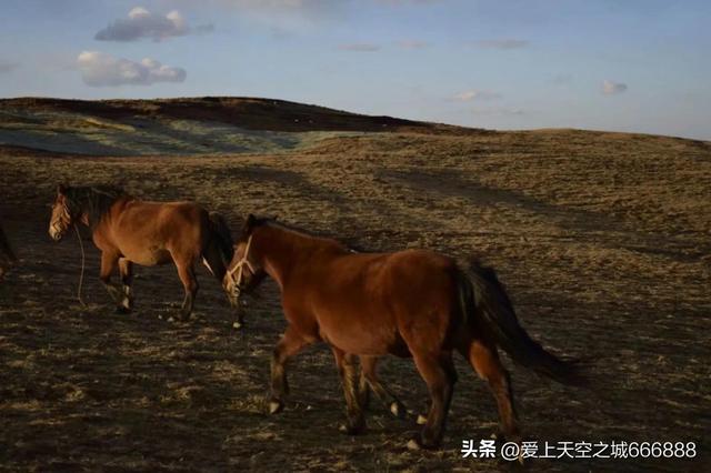 九月份的昭通大山包景观，云南的可可西里