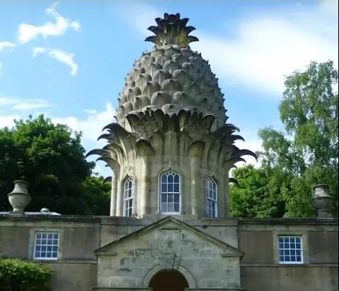 菠萝的寓意是什么，国王的头上为什么有个菠萝-吉吉国王