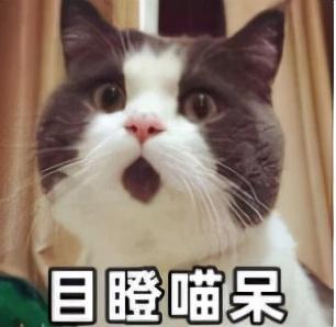 沐浴露品牌排行榜前十名，沐浴露品牌（真人实测23款沐浴乳）