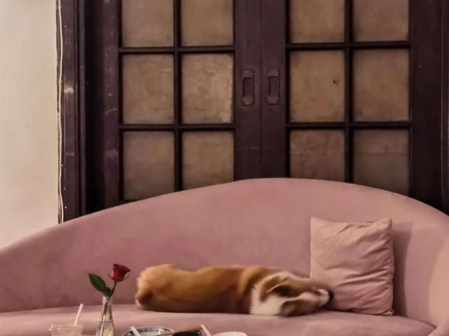 父母自由职业怎么填，父母自由职业怎么填_父母自由职业怎么填单位_父母自由职业怎么填职务（捡垃圾的95后：低物欲）