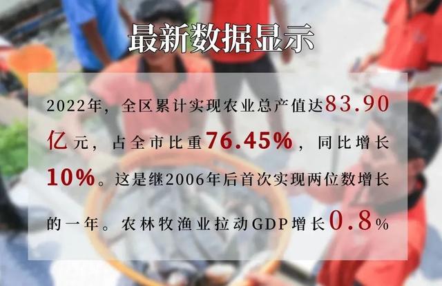 国家地理标志保护产品白蕉海鲈，白蕉海鲈再度霸屏央视