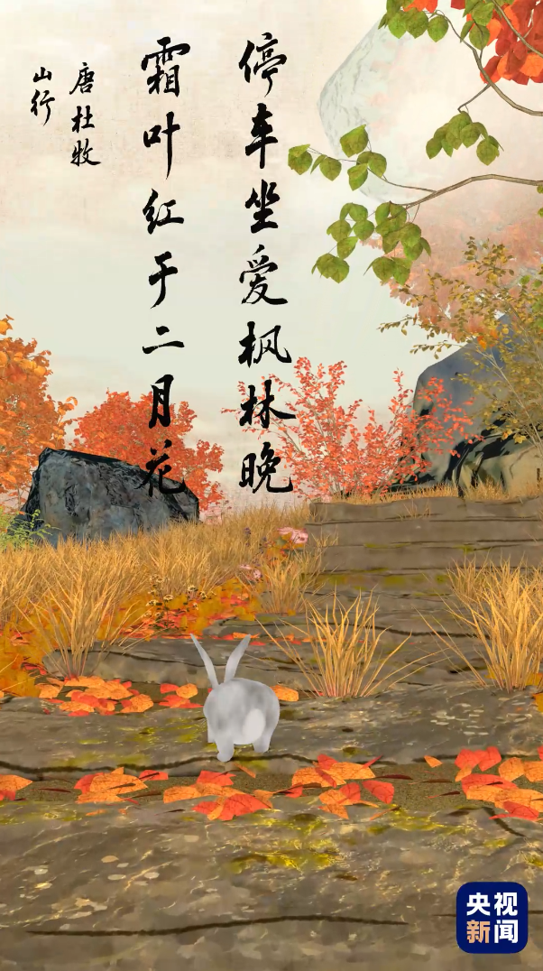 寒露是什么意思，人间好时节丨寒露