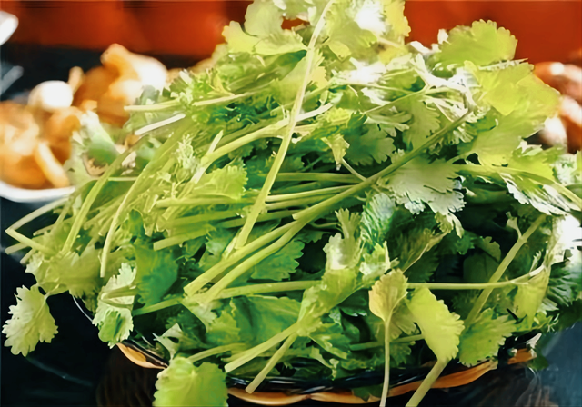 如果你开始恨父母了，如果你开始恨父母了文案（普遍跟父母关系不好）