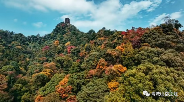 青城山旅游，青城山旅游图（赏千年银杏、观层林尽染、泡山间温泉......顶奢配置慢生活尽在青城山～）