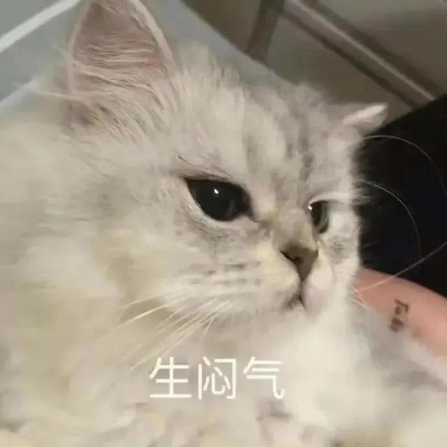 猫猫表情包，猫猫虫表情包（你家里是开幼儿园的吗图片）