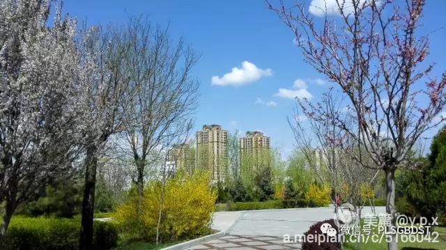 南山公园在哪里，深圳大南山公园开放时间（这是你们熟悉的那个南山公园吗）