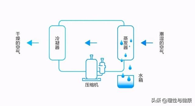 医用除湿机哪个牌子好，医院用除湿机（除湿机带来的5大好处你必须要知道）