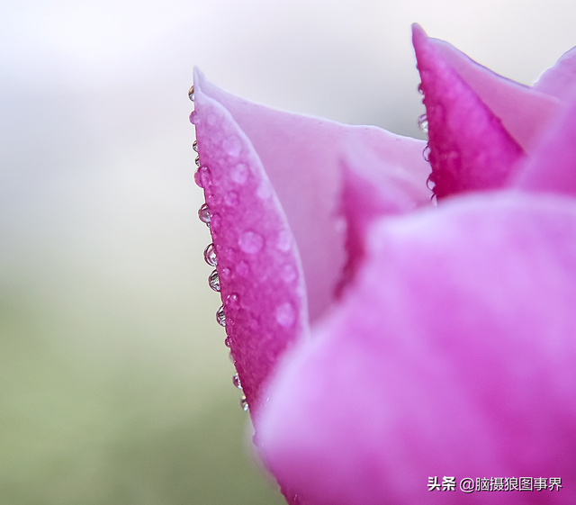 拍照片基本技巧，拍照片基本技巧和方法（可以提升照片的美感）