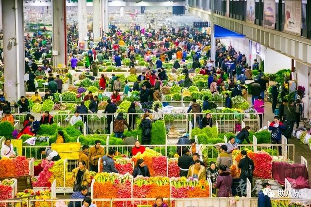 昆明旅游景点，昆明旅游景点一日游（昆明必打卡的30个小众上镜地）