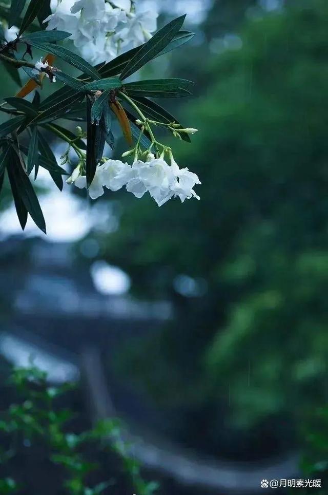 外汇理财产品怎么买，外汇理财产品怎么买卖（外汇的投资方法有哪些）