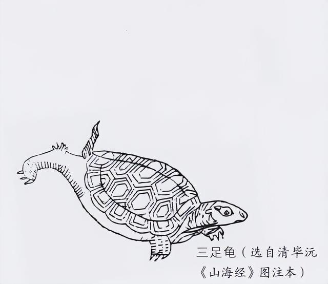 西游记里的红色鸟妖怪，上下五千年妖怪列表大全——
