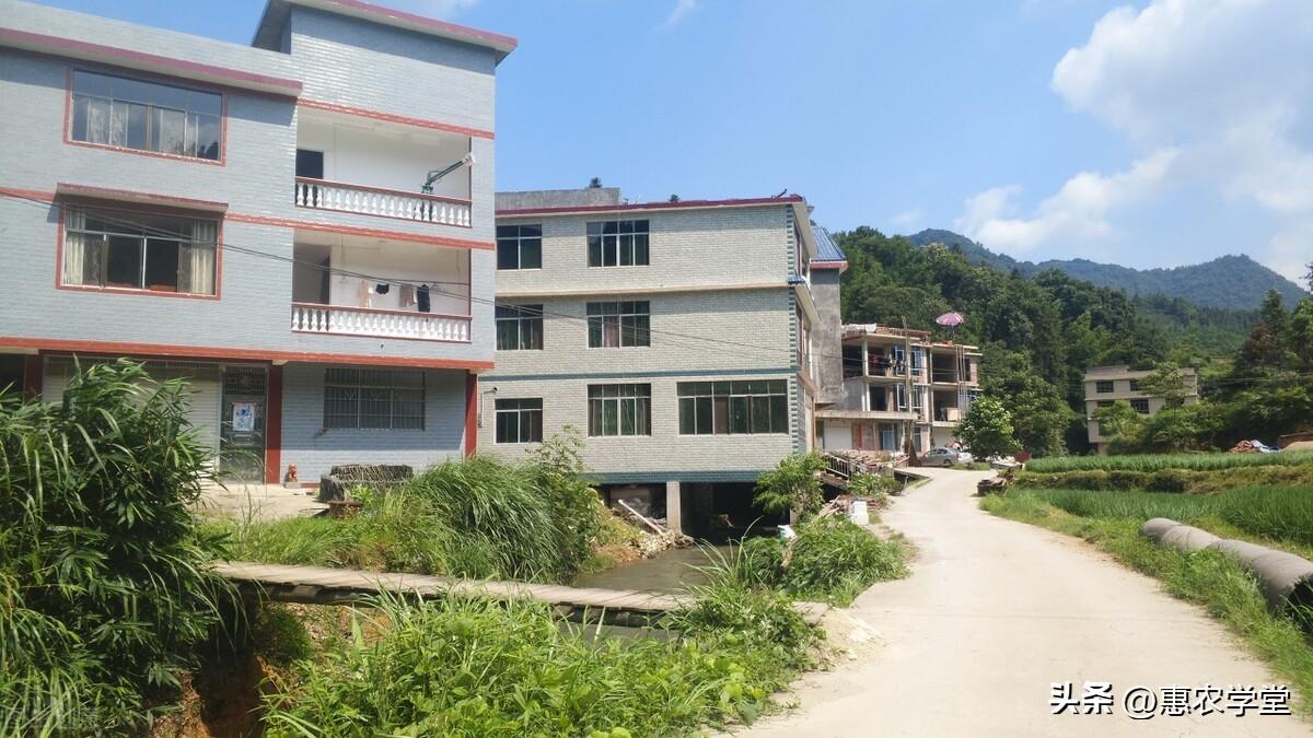 村分户证明（2022年农村户口无房可以和父母分户吗）