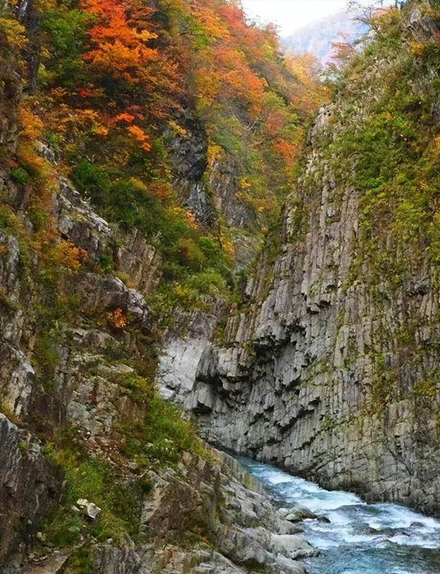 去日本旅游，去日本旅游需要什么手续和证件（日本最值得去的7个小众旅游地）