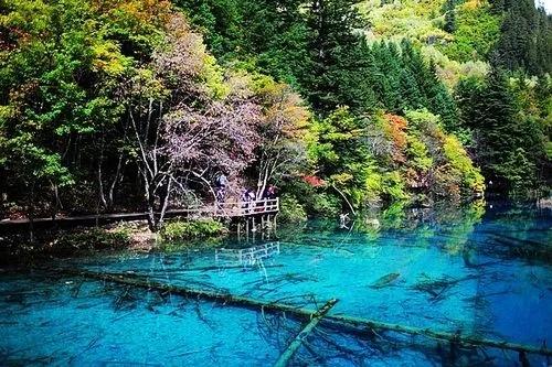 九寨沟旅游景点，九寨沟旅游景点以及简介（自带滤镜的绝美圣地）