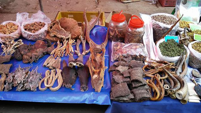 小勐拉属于哪个国家，小勐拉对面是中国哪里（初哥去过那个嘎腰子的缅北）