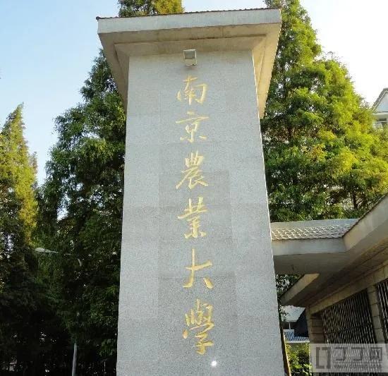 沈阳农业大学电气工程及其自动化怎么样啊，沈阳农业大学有哪些专业和院系（优势专业不及热门专业）