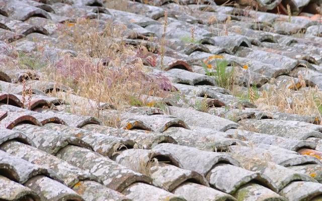 屋面瓦种类及价格，屋面瓦种类规格与价格（浅谈屋面瓦的定义及种类）