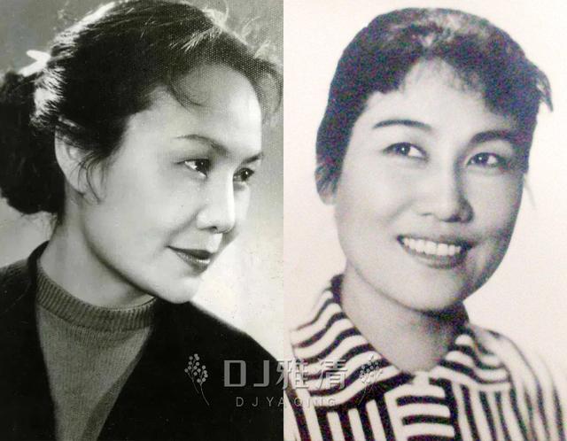 大陆女明星排行榜，中国女演员名单大全（给“22大明星”中12位女星演技排个名）