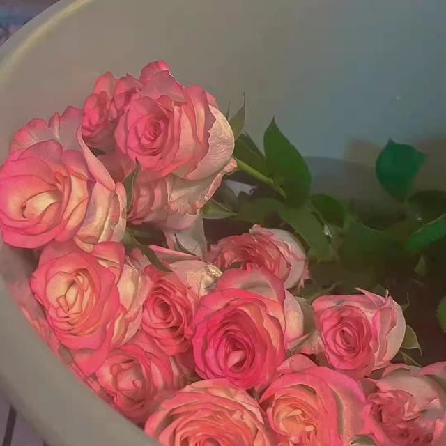 适合表白的文案，适合表白文案的图片（表达爱意的小众温柔情话文案）