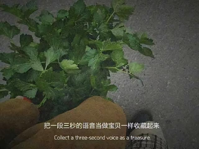 爱情的句子，爱情的句子伤感（一些很有深意的爱情句子）