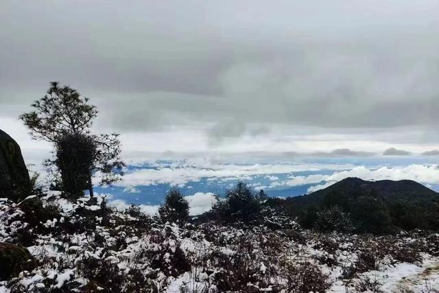 云南临沧市最美风景，到秘境临沧，与茶山亲密接触