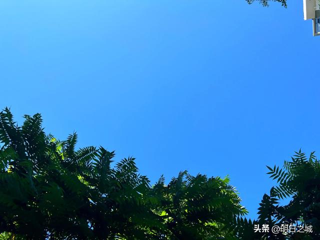 2021年内蒙古疫情源头是什么，2021内蒙古疫情最新消息今天（大庆、齐齐哈尔一条传播链）