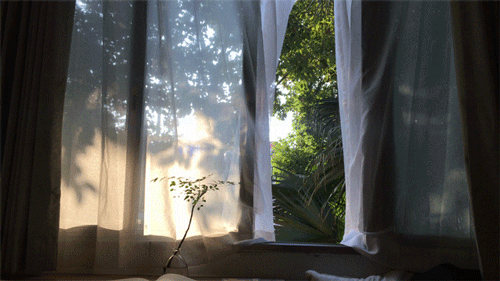 甲醛挥发的最佳温度，适合甲醛挥发的温度是多少（关于甲醛的4大疑问）