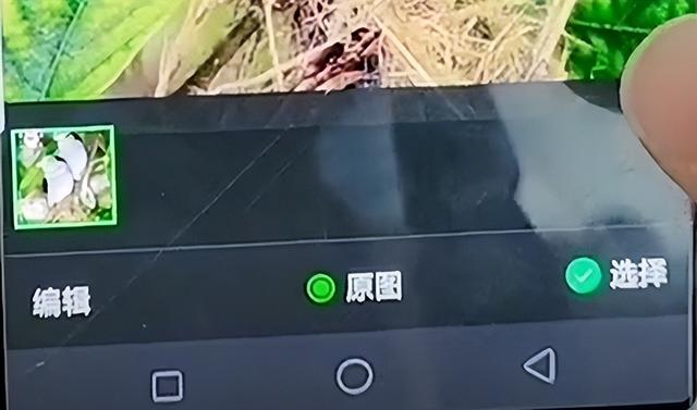 怎么在图片上写字，怎么在图片上写文字（如何给照片添加文字）