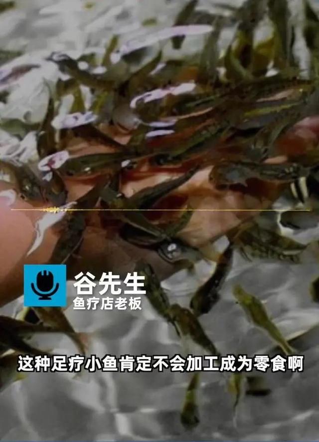 小鱼干的营养价值及功效，鱼干的营养价值及功效与作用（退休后会被腌成小鱼干吗）