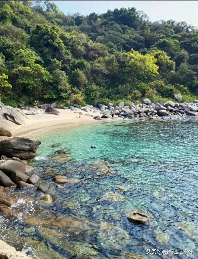 我心目中的深圳海湾天花板，一定要去一趟柚柑湾