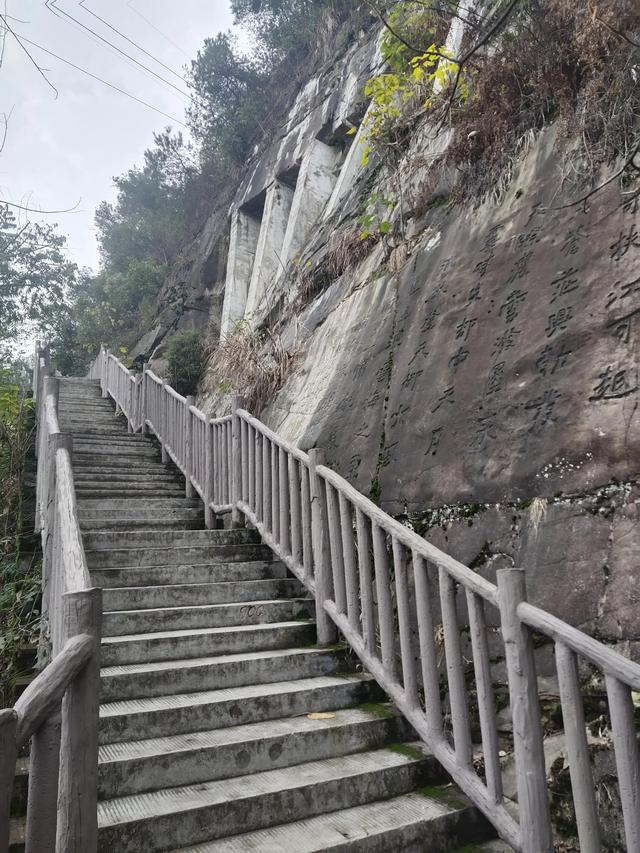 歌乐山森林公园，重庆旅游必去景点（歌乐山国家森林公园）