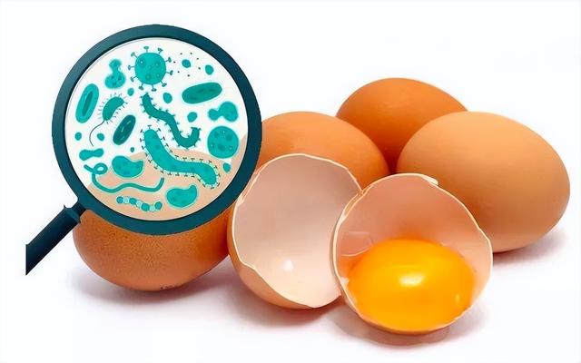 白水煮鸡蛋要煮几分钟，白水煮蛋冷水下锅还是热水下锅（还不知道鸡蛋煮多久才合适）