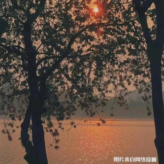 最近流行的歌曲，流行歌曲最好听20首音乐（好听的歌曲20首）