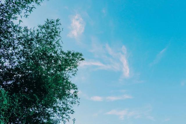 白头搔更短浑欲不胜簪，白头搔更短浑欲不胜簪的意思是什么（中间14字抚慰世人1200年）